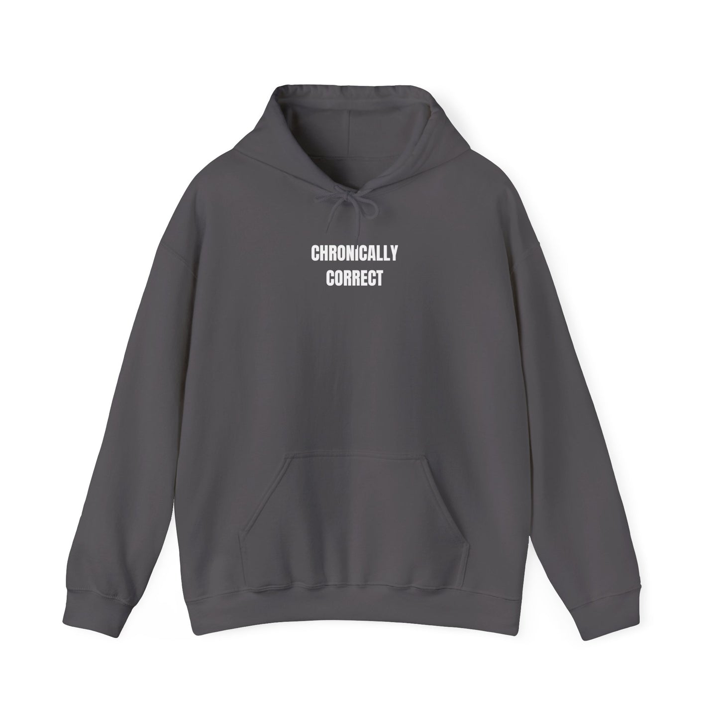 'CHRONICALLY CORRECT' hoodie