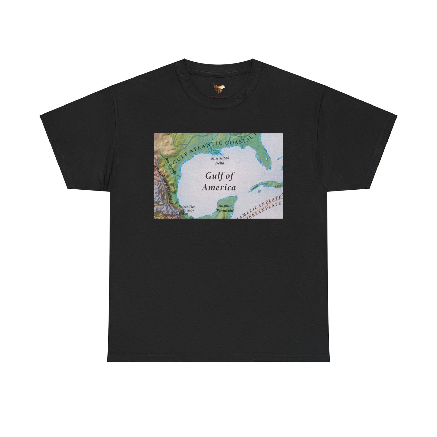 'GULF OF AMERICA' classic tee