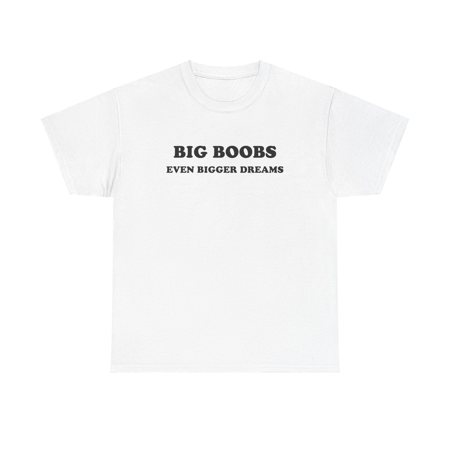 'BIG BOOBS BIGGER DREAMS' classic tee