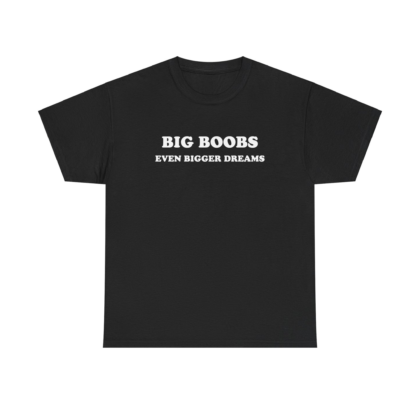 'BIG BOOBS BIGGER DREAMS' classic tee