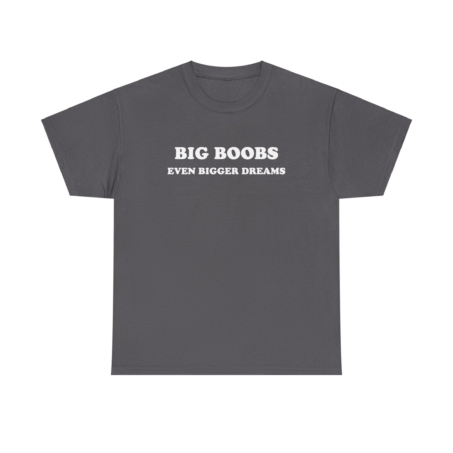 'BIG BOOBS BIGGER DREAMS' classic tee