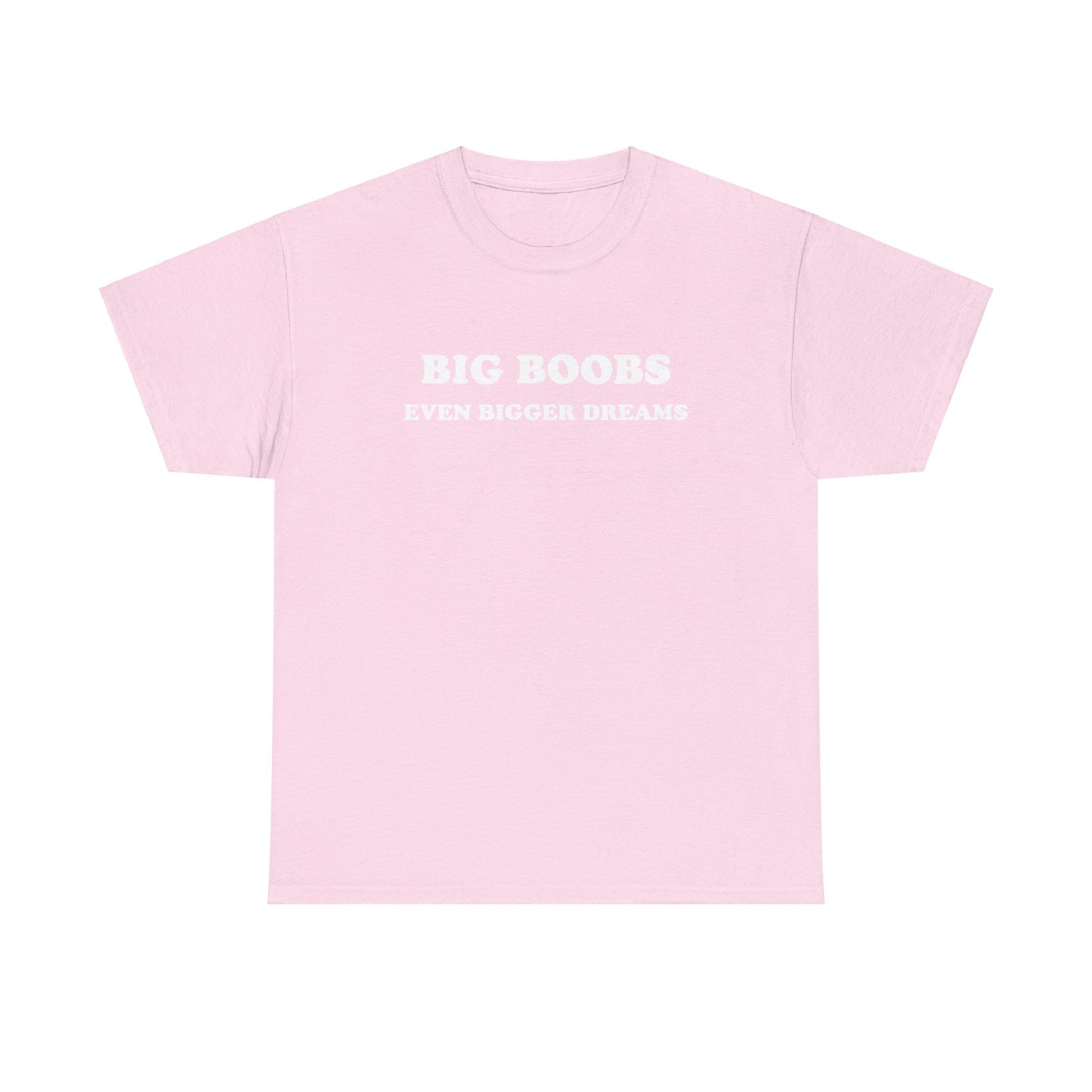 'BIG BOOBS BIGGER DREAMS' classic tee