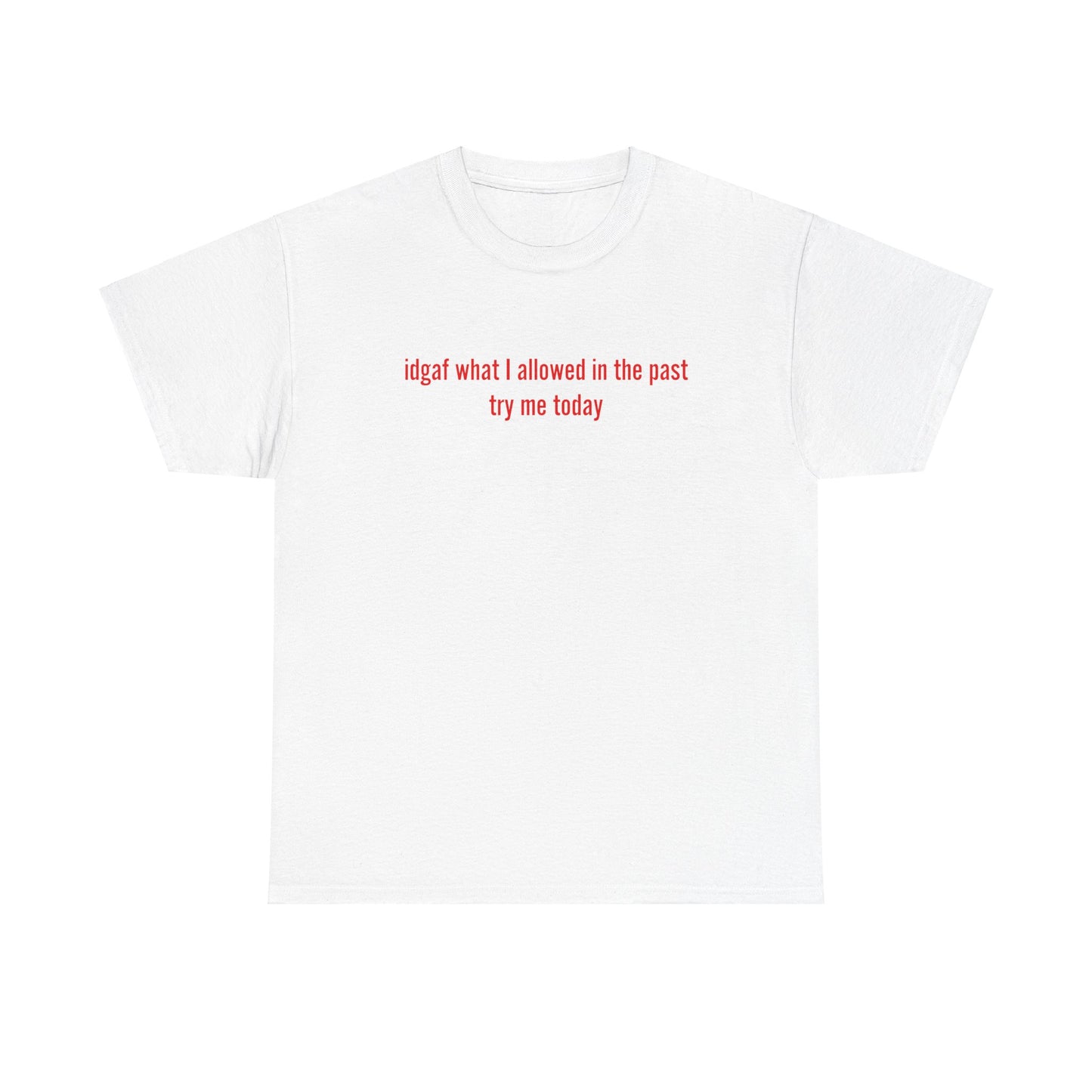 'idga* what I allowed in the past, try me today' classic tee