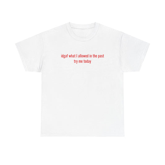 'idga* what I allowed in the past, try me today' classic tee